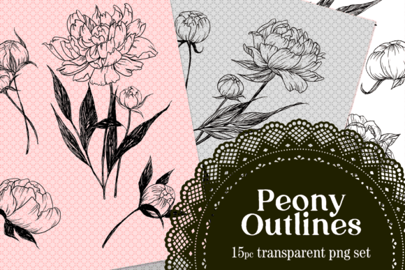 Download Peony Drawn Floral Lines PNG Set - Lines Collection